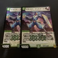 モモスター ケントナーク 2枚セット
