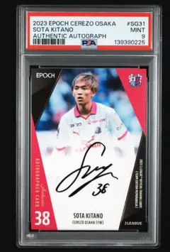 Item thumbnail for item 6e1c18be-0d6b-4db2-8a0c-b583566b971b