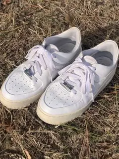 Item thumbnail for item 73fd74b7-6c72-4373-99e4-c866f2ac745d