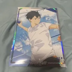 ハイキュー!! 水遊び ポートレート