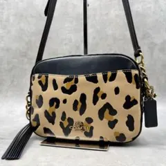 美品☆COACH☆コーチ☆ショルダーバッグ☆パイソン柄☆ヘビ柄☆ミニ 