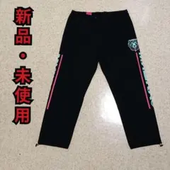 Item thumbnail for item 00766d57-9179-4e42-ac4a-63833162dee6