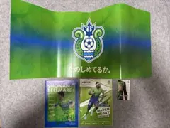 Item thumbnail for item e192c1d7-4f29-4025-8ba1-4ddc3695c4e6