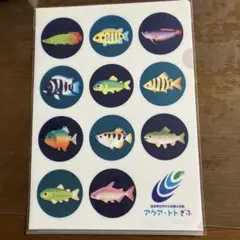 Item thumbnail for item d6f12ae0-dc04-49c3-8d49-36557df6542c