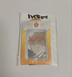 ハイキュー 日向翔陽 バースデイ カードホルダー カード付き