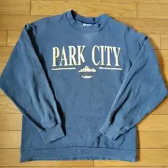 ティージェイズ　スウェット　ひび割れラバー　L　ビンテージ　USA製　90s