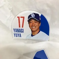 中日ドラゴンズ 柳裕也 応援グッズ 17