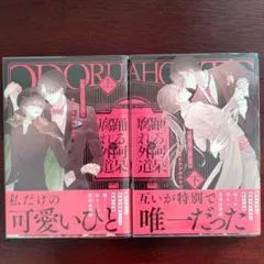 踊る阿呆と腐れ外道　上下　あかねソラ