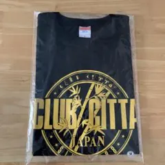 Item thumbnail for item e4148bd5-7925-41d1-a089-18cbe67610dd