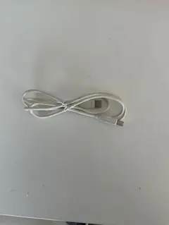 ホワイト USBケーブル 約1.5メートル