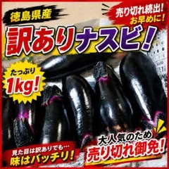 2026年最新】なすびの人気アイテム - メルカリ