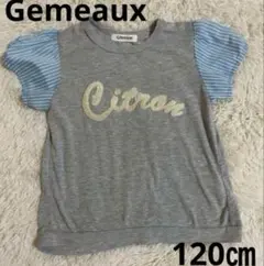 Gemeaux Tシャツ 120cmのサムネイル