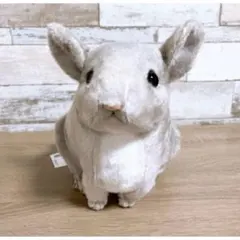 チンチラ りあるあにまるず ぬいぐるみ ライトグレー
