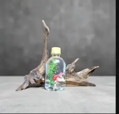 ナイスコンビな流木2点セット 27.22cm　ホーンウッド　金魚　レイアウト　夏