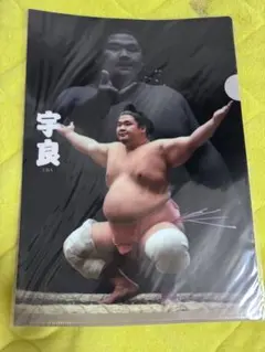 宇良 A4クリアファイル　相撲グッツ