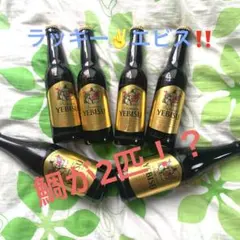ラッキー✌️エビス　6本セットのサムネイル