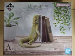 一番くじ 爬虫類&両生類A賞フトアゴヒゲトカゲ おやすみブックスタンド