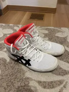 Item thumbnail for item ce390b2b-fac3-43ad-a553-6ddc06e63f02