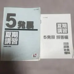 2026年最新】日能研 5年 夏期講習の人気アイテム - メルカリ