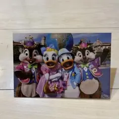 東京ディズニーリゾート ポストカード チップ デール ドナルド デイジー