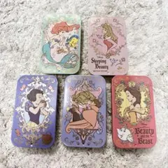 すらいどきゃん　プリンセス2 5点セット