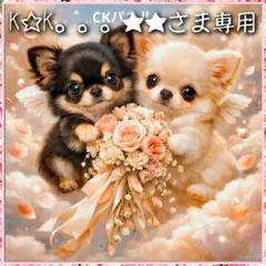 【受注制作】両面巾着袋(裏地あり)(10/8)