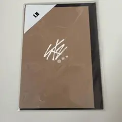 StrayKids アイエン　クリスマス　POPUP ポストカード