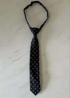 Item thumbnail for item b9cd3210-d573-4fcd-be3c-7e588b700dd3