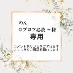 のん@プロフ必読発送予定は〜様専用　宛名シール3点【A42.112.124】