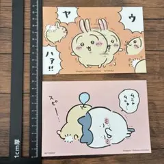 ちいかわ　うさぎ　ハチワレ　ポストカード　ちいかわらんど　ノベルティ