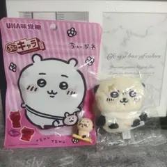 未開封 ちいかわお座りぬいぐるみ２☆ラッコ&のサムネイル
