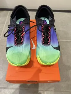 Nike ストリークフライ2 27.5