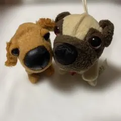 2025年最新】Dog ハッピーセットの人気アイテム - メルカリ