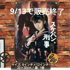 希少昭和レトロスケバン刑事写真集南野陽子ヨーヨー - メルカリ