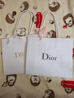 Dior ショップ袋 2点セット