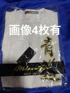 ダイヤのA 稲城実業 ユニフォーム mizuno S - メルカリ