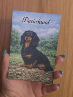 琥珀様 リクエスト 2点 まとめ商品