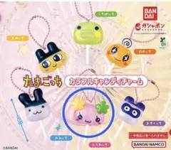 たまごっち カラフルキャンディチャーム　ふらわっち　レア？
