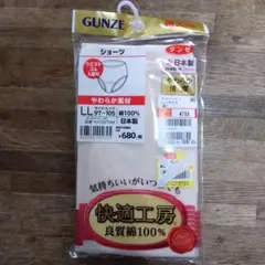 GUNZE 快適工房 婦人用ショーツ 綿100% 日本製 KH3070H 03