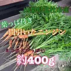 야마나시현 호쿠토시 가시당근 네코포스 풀 400g 잎 달린 당근