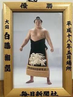 カルビー 大相撲カード 73年 魁傑 カルビー 大相撲カード 73年 魁傑 - メルカリ