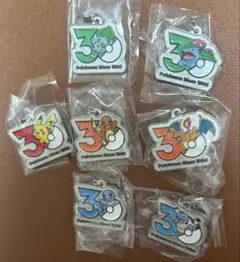 ポケモン　30周年 メタルチャームマスコット　コンプリート