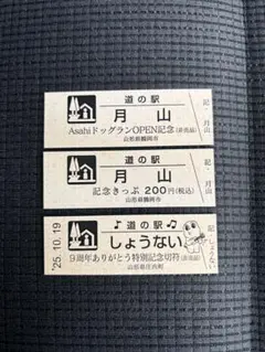 熊野きのくに 記念きっぷ 道の駅 熊野きのくに 会員による記念きっぷ取得記録一覧 1ページ