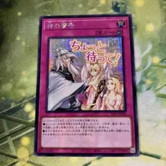 モンスターコレクション モンコレ tcg 召喚術師 シルク＆ミルク - メルカリ