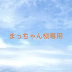 まっちゃん様専用　キーホルダー4点