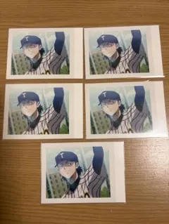 ダイヤのA 向井 インスタント チェキ ブロマイド