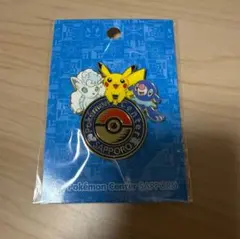 2026年最新】ポケモンセンター ピンズ 札幌の人気アイテム - メルカリ