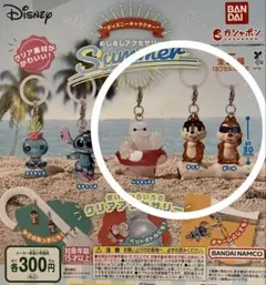 ディズニー　めじるしアクセサリー　SUMMER