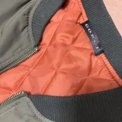 Item thumbnail for item 2b696bd5-623d-41e9-b72e-4755f2f91978