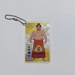 《 大栄翔 》 大相撲 アクリルトレカ